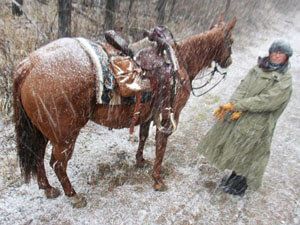 Horse Jackets and Products